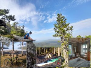Activities in the nature in Hälsingland